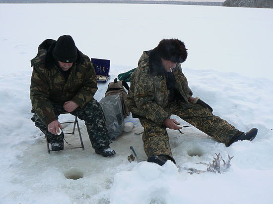 Какая рыба водится на Хардиковой заимке?

