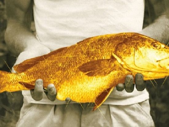 Сказ о золотой рыбке, или Чем питаются в дербентских больницах…
