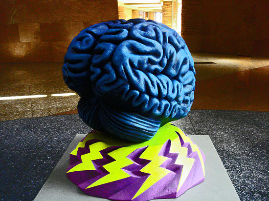 Создавая «любовную карту» мозга, нейрофизиологи воспользовались методом магнитно-резонансной томографии
