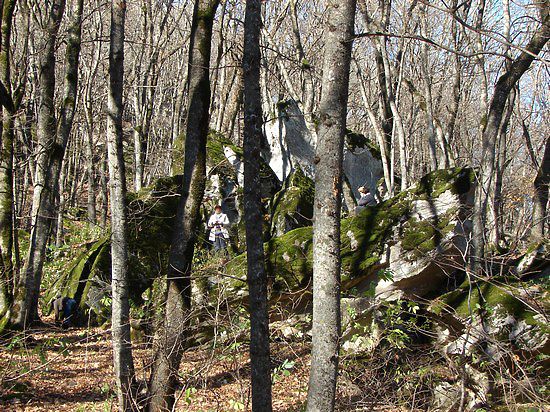 Кавказ глазами путешественника