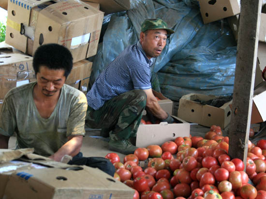 По всей стране, от Находки до Калиниграда, уже растят овощи тысячи китайских хозяйств