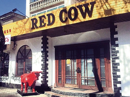 В гостях у «Красной коровы»