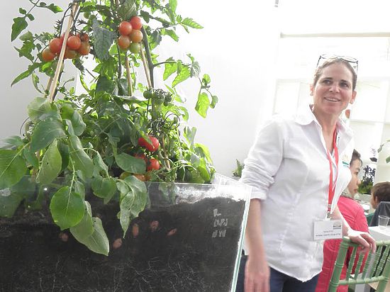 Вы можете представить себе растение, плодоносящее и помидорами, и картофелем? Это и другие чудеса аграрной отрасли ХХI века демонстрировались на международной выставке, состоявшейся в мошаве Хацева 