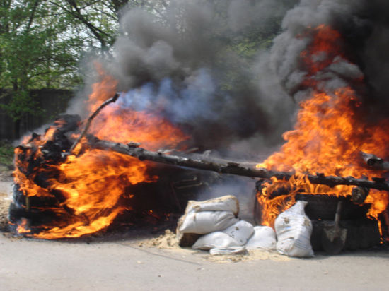 Bild утверждает, что спецназ Бундесвера и полиции ФРГ приведены в готовность