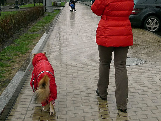 Преступников задержали сотрудники торговой точки, следившие за кражей с помощью камеры видеонаблюдения