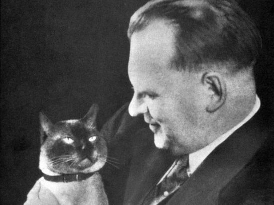 Как шахматный король бандитов ловил Как шахматный король бандитов ловил