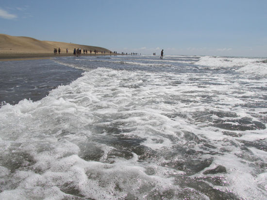 Эксперты оценили возможные причины прихода гигантской волны 