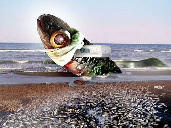 Очередная экологическая тревога на Каспии: “частик” косяками выбрасывается на берег. 
