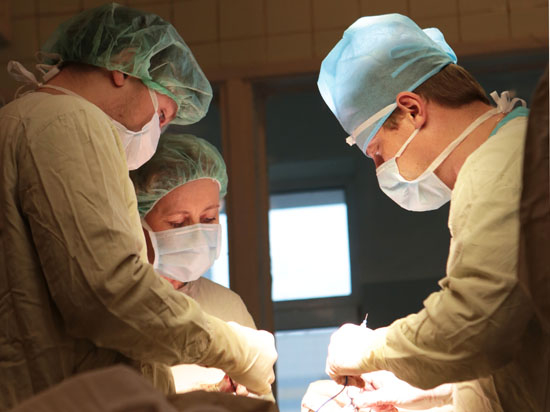 Минздрав предлагает расширить перечень объектов трансплантации