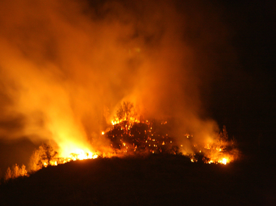 Минприроды РФ утвердило новые правила тушения лесных пожаров