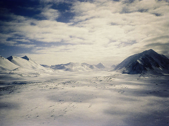 Найденным окаменелостям более 250 миллионов лет