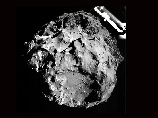 Исследователи не исключают, что в грунте кометы сохранились бактерии, когда-то принесшие жизнь на Землю