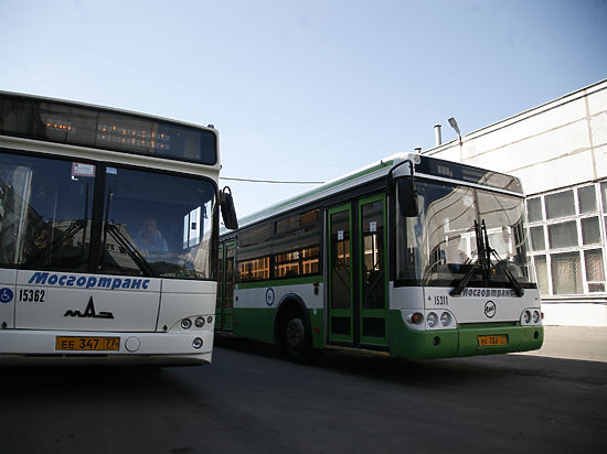 Автобусы и троллейбусы Москвы предлагается использовать для патрулирования улиц города и фиксации ДТП