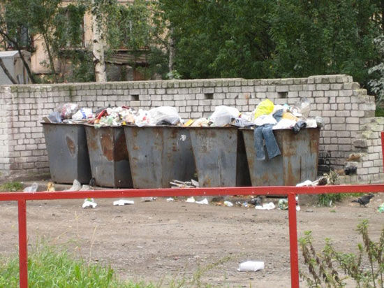 В Челябинске в мусорном баке лежал мертвый младенец