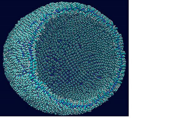 Новая искусственная клетка может оказаться жизнеспособной основой для жизни на разных планетах 
