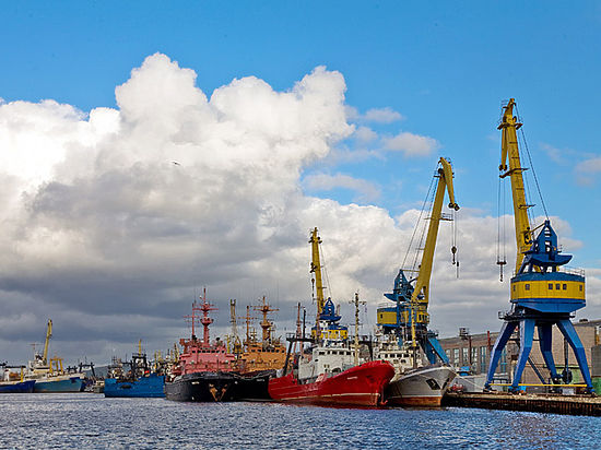 Комитет Государственной Думы по транспорту формирует постоянно действующую рабочую группу по обеспечению мер по развитию рыбопромышленного комплекса