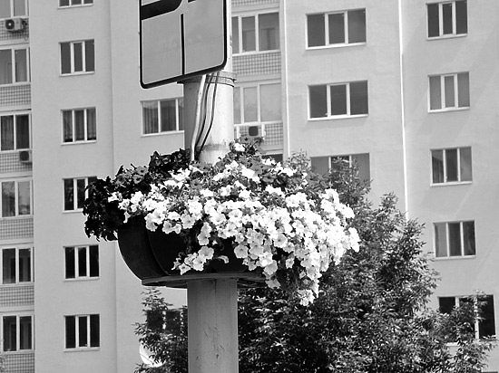 Власть прислушалась к пожеланиям трудящихся