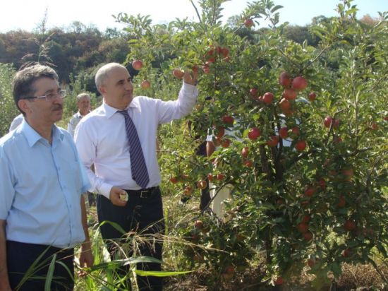 Вице-премьер Правительства РД побывал в Кайтагском районе, где провел республиканское совещание о приоритетах развития садоводства и агрологистики в Южном Дагестане