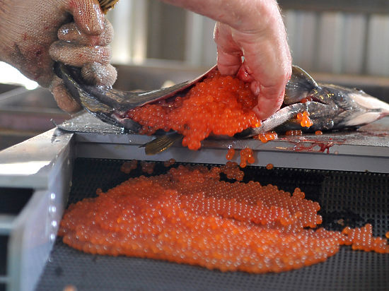 Ведомство планирует изменить правила экспертизы этого продукта, а также морской рыбы