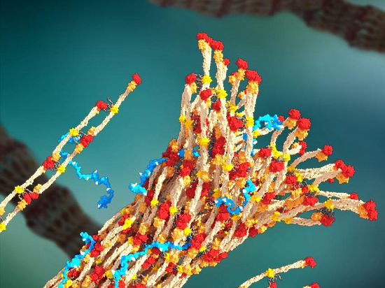 Инъекционный полимер PolySTAT может спасти солдат от смерти, затягивая любые раны