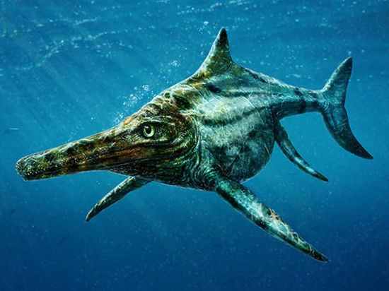 Древние рептилии, обитавшие у океанских берегов, оказались очень похожими на тех, что водились в древних московских морях 