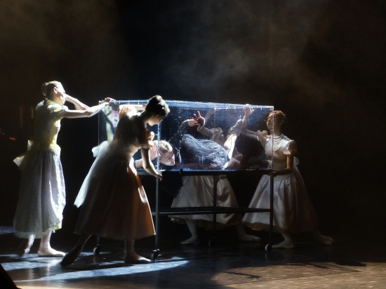 Свой юбилейный, 60-й сезон Музыкальный театр Карелии откроет 26 сентября балетом «Анна Карелина»