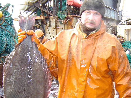 Будут предусмотрены гарантии увеличения поставок рыбы на российский берег
