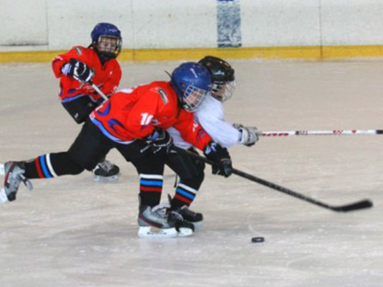Хоккейный турнир в честь Дня государственного флага России выиграли коченевцы