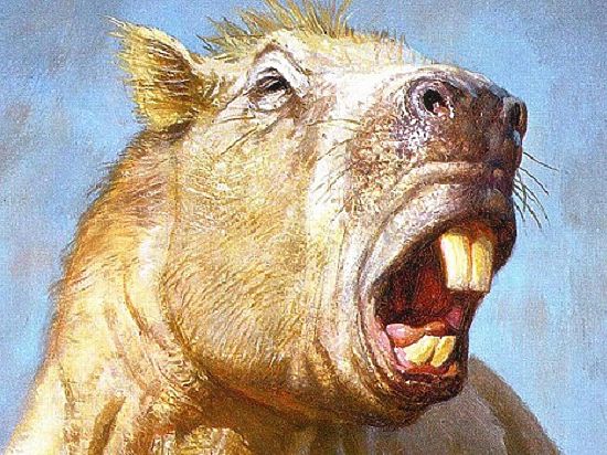Европейские палеонтологи нашли останки грызуна, который весил около тонны и использовал свои передние зубы примерно таким же образом, как и слоны