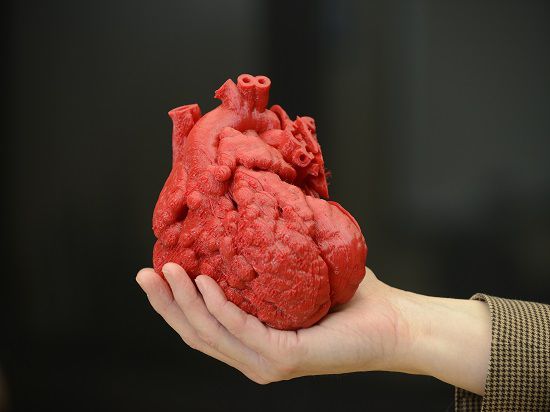 Медики впервые напечатали на 3D принтере функциональное человеческое сердце