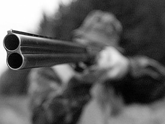 Пять убитых и двое раненых — такие потери понесли охотники в Саратовской области за последние полтора года