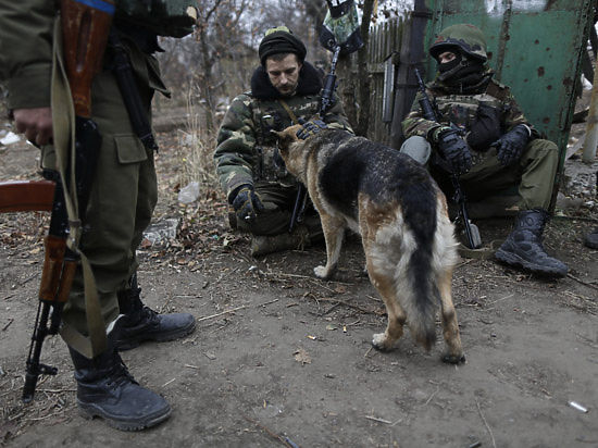 Об этом сообщает руководство ДНР