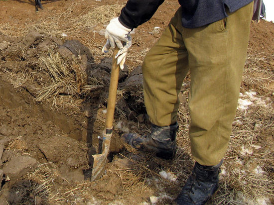 Орудовать лопатами как профессиональные археологи должны будут научиться могильщики в скором времени