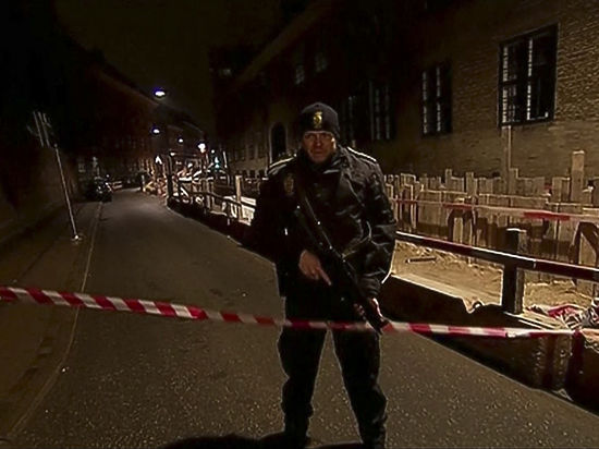 Полиция Дании сообщила о ликвидации одного из террористов, атаковавших Копенгаген 14 февраля
