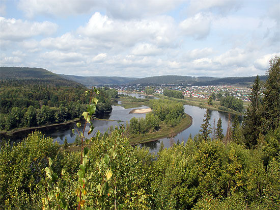 Под Уфой плодятся насекомые-вредители, уничтожающие лес