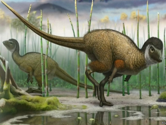 Открытый вид динозавров мог существовать в юрском периоде - 175 млн лет назад