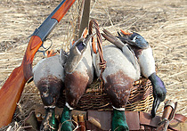 На весеннюю охоту по комсомольской путевке