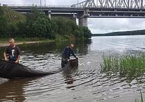 Прошли выпуски молоди стерляди в Волгу и Оку Прошли выпуски молоди стерляди в Волгу и Оку