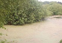 Реабилитация водоемов возобновлена Реабилитация водоемов возобновлена