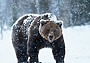 подписной индекс на страже. Смотреть фото подписной индекс на страже. Смотреть картинку подписной индекс на страже. Картинка про подписной индекс на страже. Фото подписной индекс на страже