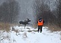 зубная неотложка в красноярске правый берег бесплатно адрес