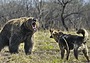 Что сегодня за праздник в рязани. Смотреть фото Что сегодня за праздник в рязани. Смотреть картинку Что сегодня за праздник в рязани. Картинка про Что сегодня за праздник в рязани. Фото Что сегодня за праздник в рязани