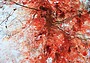 Что в коробке для новорожденных в твери. TEASER PIC SMALL 659624 41788191. Что в коробке для новорожденных в твери фото. Что в коробке для новорожденных в твери-TEASER PIC SMALL 659624 41788191. картинка Что в коробке для новорожденных в твери. картинка TEASER PIC SMALL 659624 41788191.